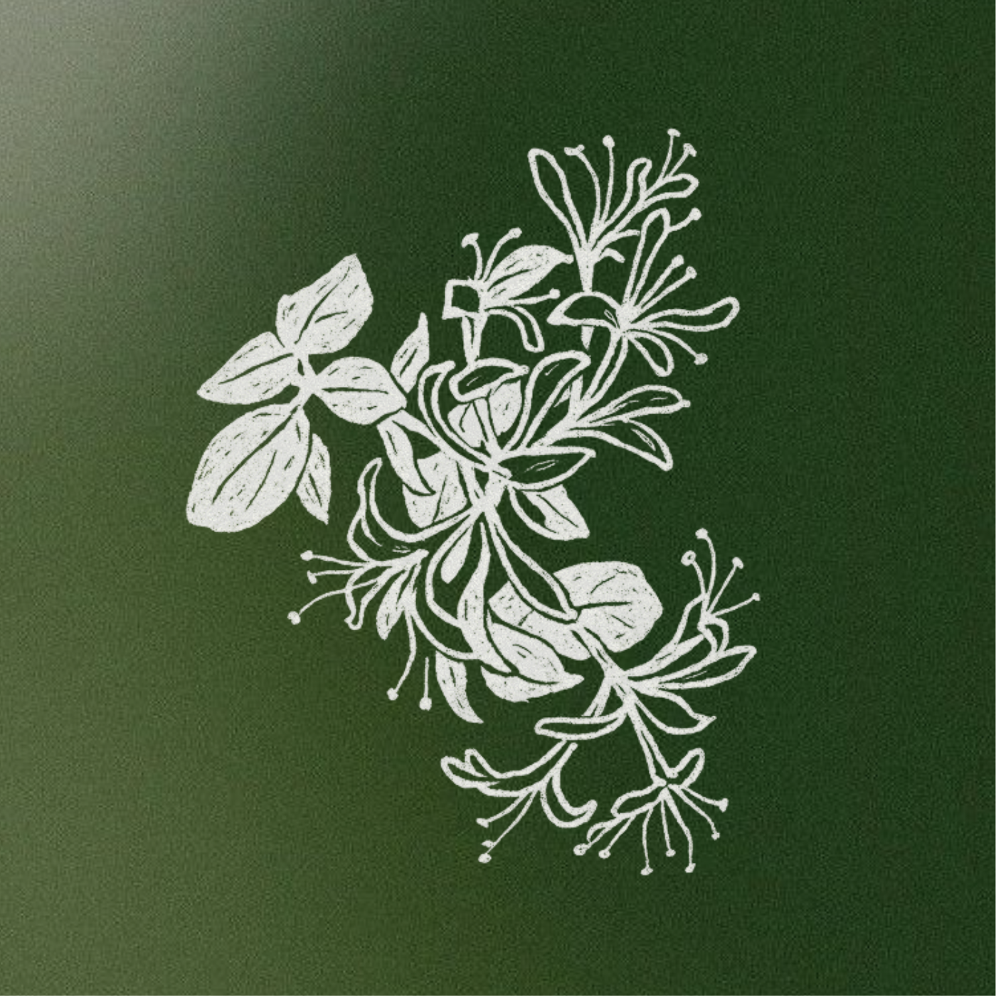 Awaken Your Skin's Vital Energy: A Journey to the Perfect Bath Soap & Herbal Revival