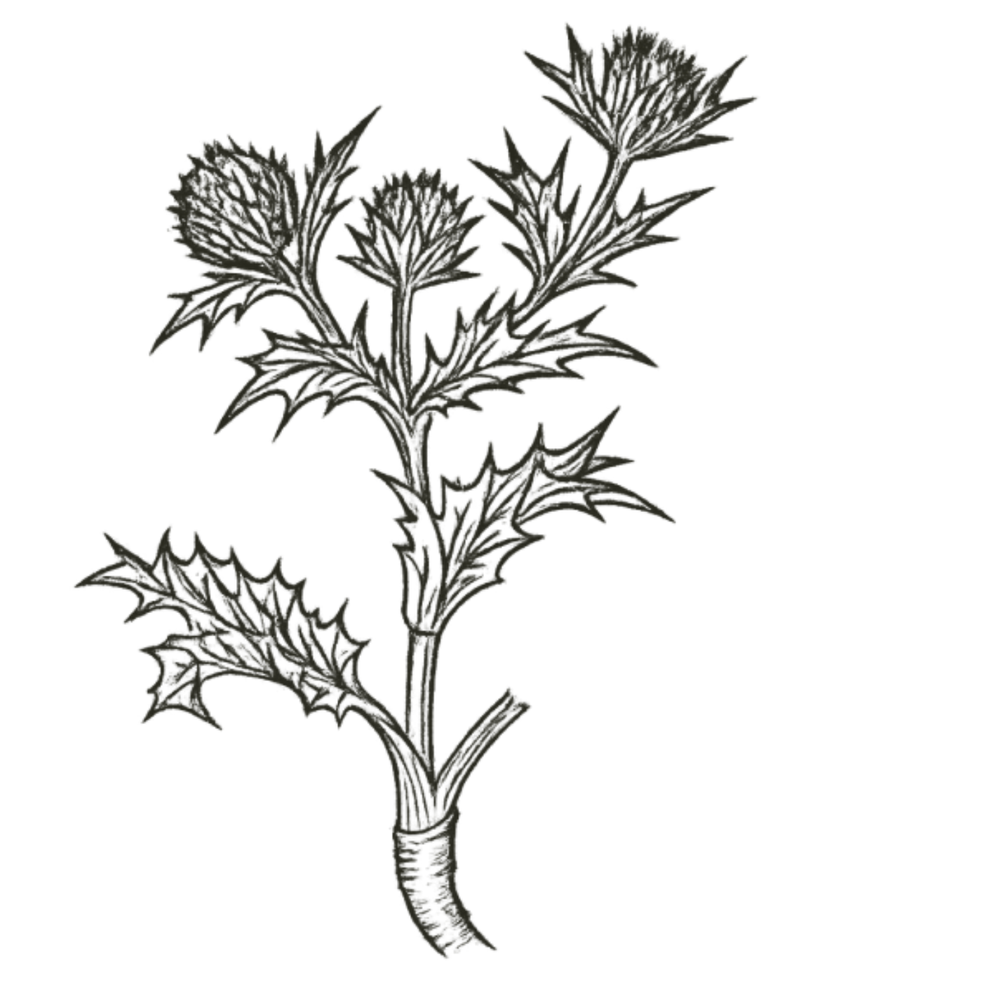 Miscellaneous Talks on Traditional Chinese Medicine