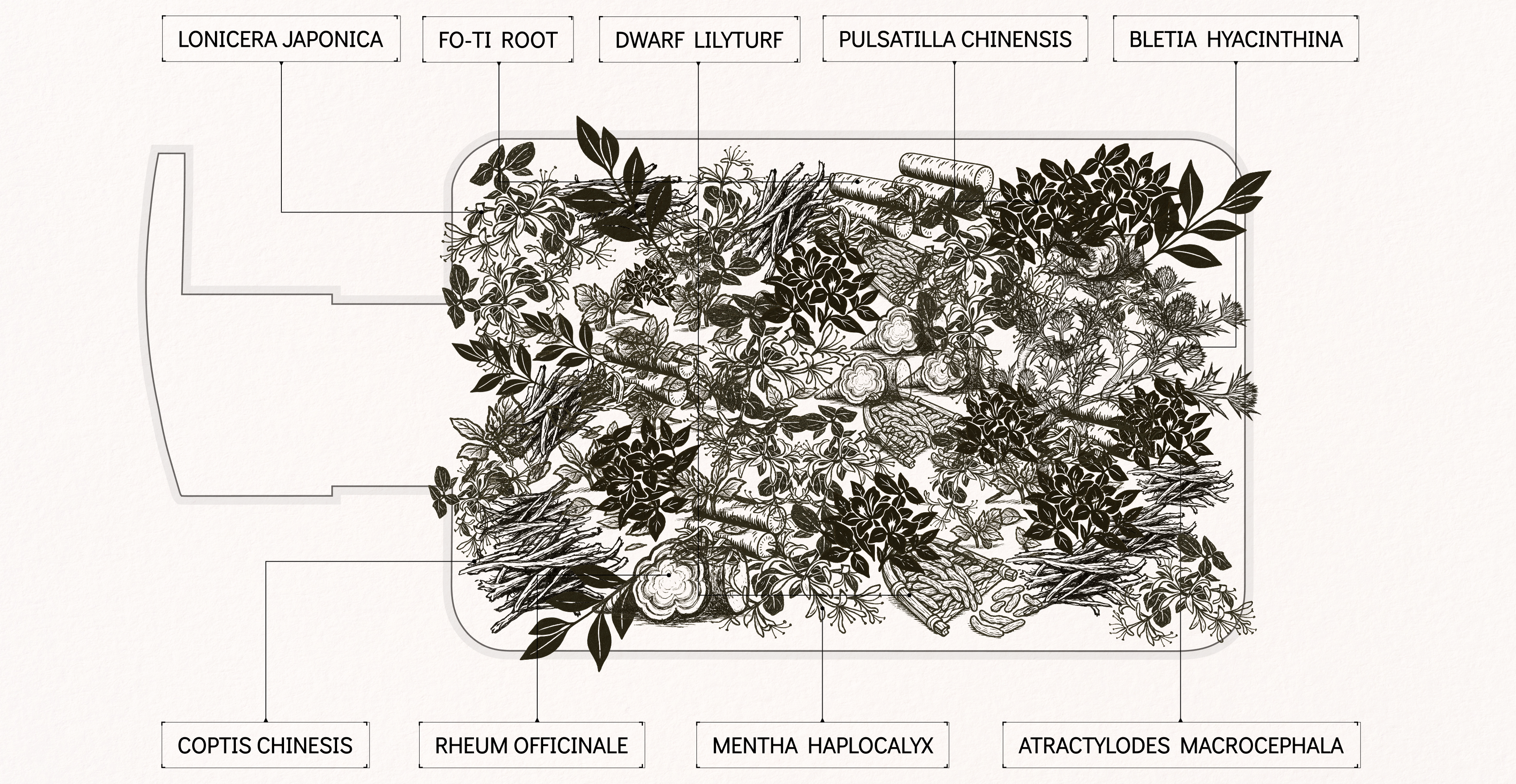 Herbal Energy Awakening: The Modern Guide to Bulk Foaming Soap & Skin Revival