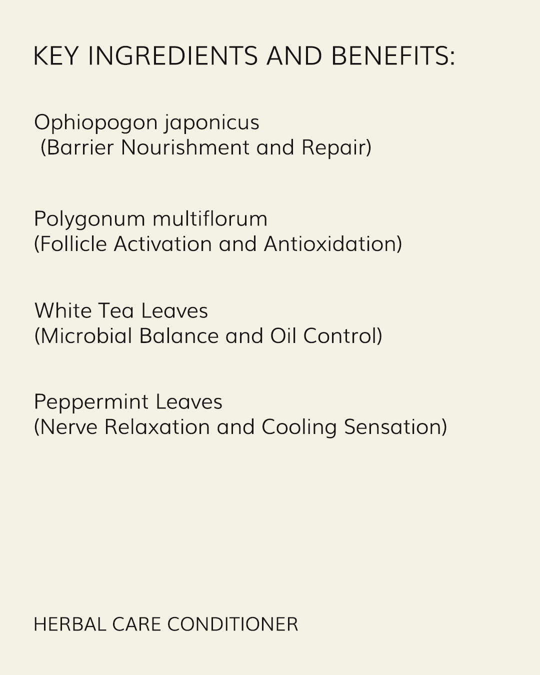 The Ultimate Guide to Antibacterial and Antifungal Body Wash