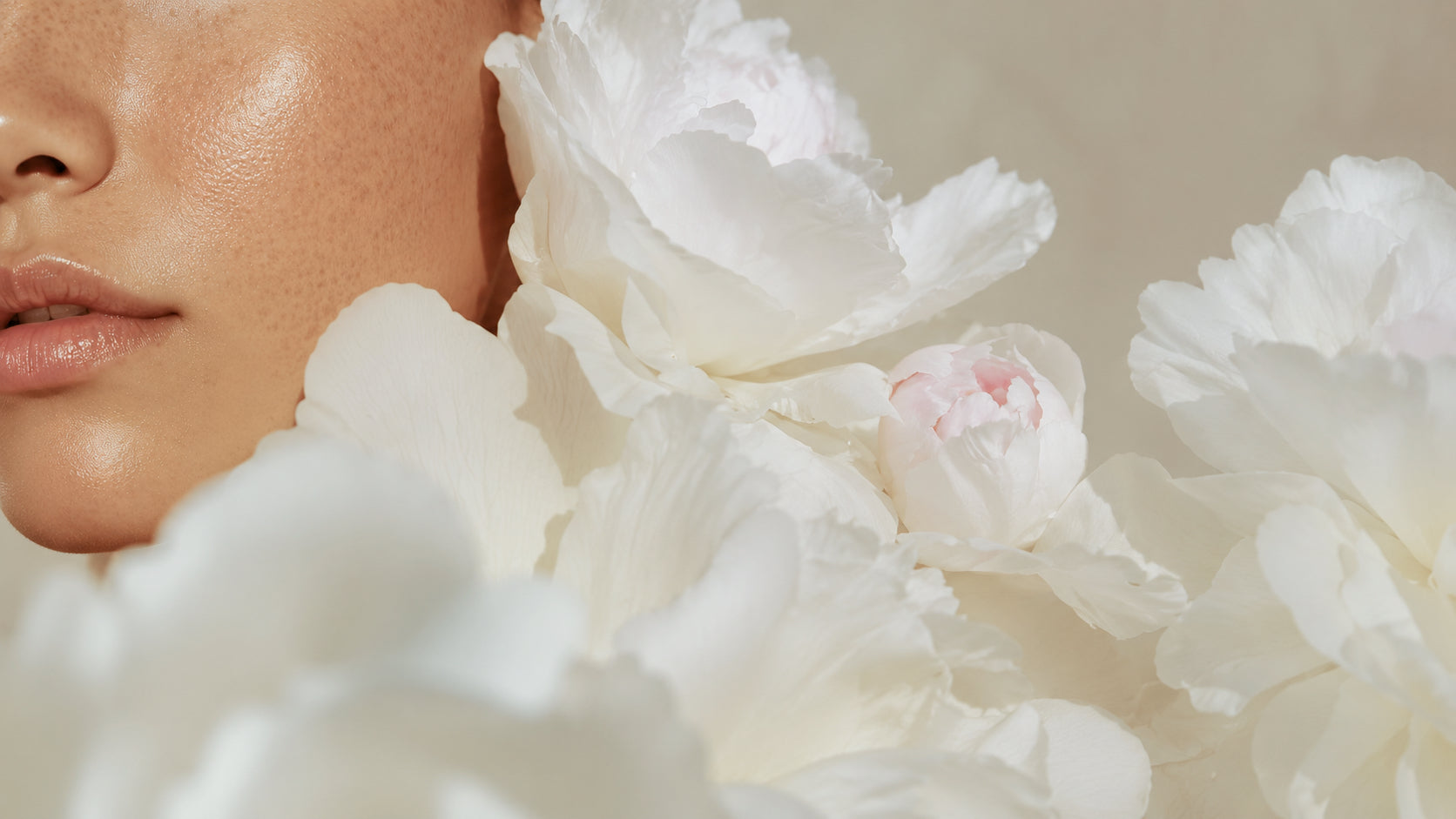 Phoenix Peony