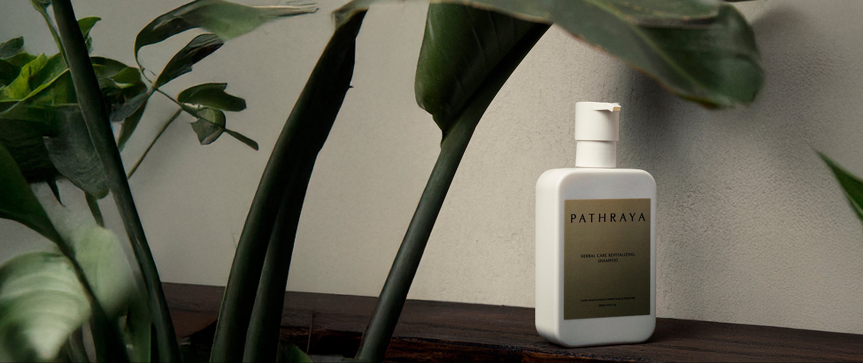 Herbal Care