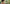 Promotion banner